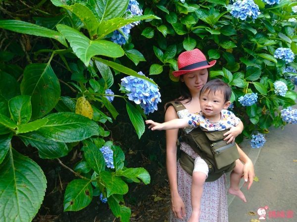 naforye 拉孚兒 超零感時尚背巾