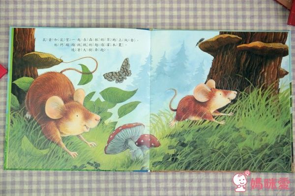 【上人文化】四大主題☛經典成長繪本