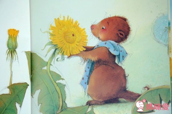 【上人文化】四大主題☛經典成長繪本