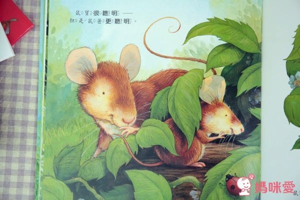 【上人文化】四大主題☛經典成長繪本