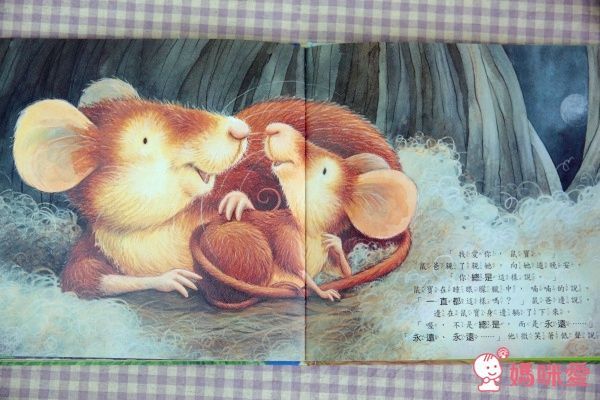 【上人文化】四大主題☛經典成長繪本