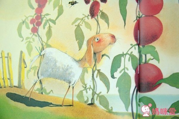 【上人文化】四大主題☛經典成長繪本