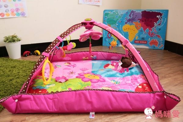 全台獨家最低價！★美國 Tiny Love 嬰兒成長玩具★