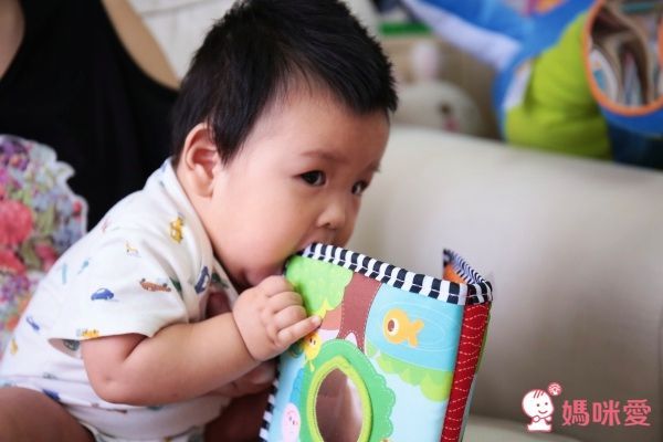 全台獨家最低價！★美國 Tiny Love 嬰兒成長玩具★