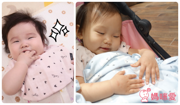 【韓國 Conitale 】 紗布毯 Ｘ 口水巾