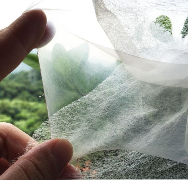 台灣製造 衛風 醫用3D奈米薄膜口罩