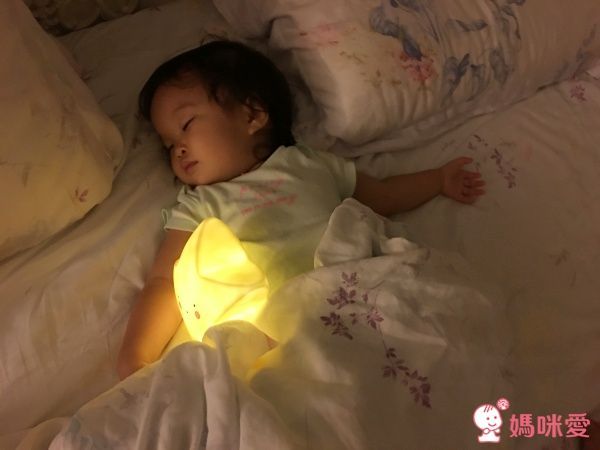 A Little Lovely Company 療癒 LED 燈串