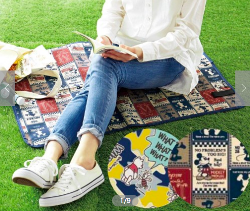 日本直送 ★ 超人氣卡通野餐好物！