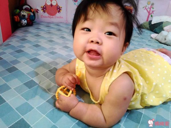 Naforye 拉孚兒權杖造型刷固齒器