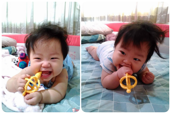 Naforye 拉孚兒權杖造型刷固齒器