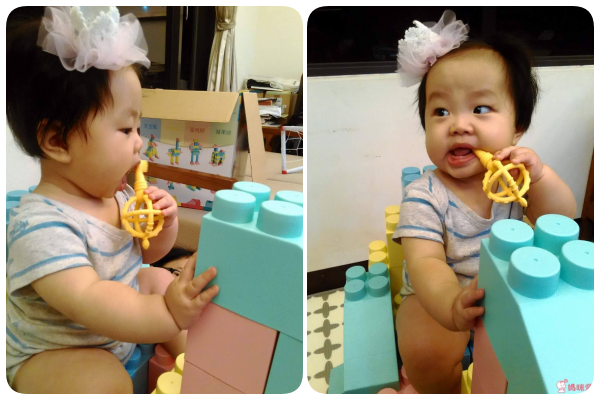 Naforye 拉孚兒權杖造型刷固齒器