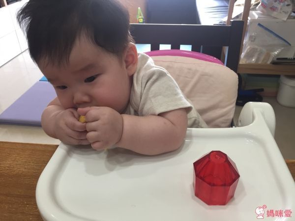 Naforye 拉孚兒鑽石咬咬CC樂