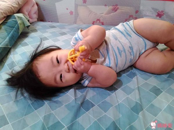 Naforye 拉孚兒權杖造型刷固齒器