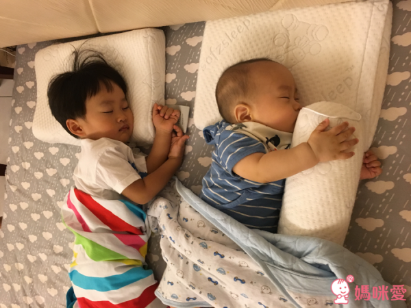 【 比利時 Sofzsleep® 】竹纖維乳膠頭型枕 ✖ 寢具系列