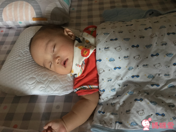 【 比利時 Sofzsleep® 】竹纖維乳膠頭型枕 ✖ 寢具系列