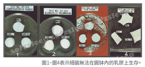 【 比利時 Sofzsleep® 】竹纖維乳膠頭型枕 ✖ 寢具系列