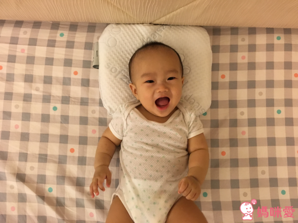 【 比利時 Sofzsleep® 】竹纖維乳膠頭型枕 ✖ 寢具系列