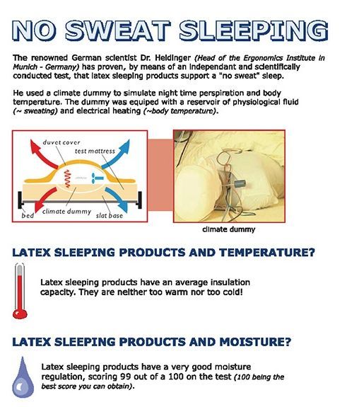 【 比利時 Sofzsleep® 】竹纖維乳膠頭型枕 ✖ 寢具系列