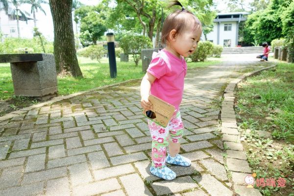 紐西蘭 Honey Sticks - 純天然蜂蠟無毒蠟筆-1歲以上寶寶適用-矮胖型-12色