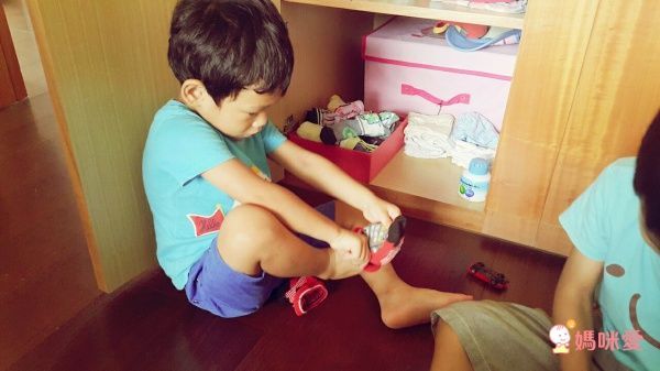 日本大幸 Cleverin 加護靈