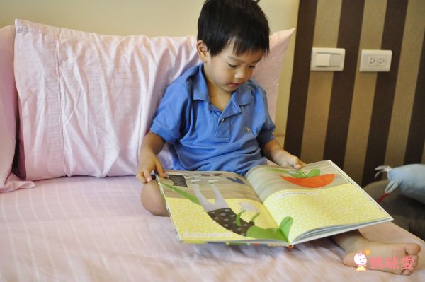 小瓢蟲中英雙語系列 ★啟蒙認知五書組★ 0歲開始看,依寶寶視覺發展階段設計!