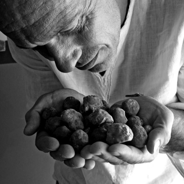 歐陸獨特傳統食材❤義大利頂級松露醬 X 西班牙米其林御用鹽之花