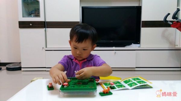 比利時 SMART GAMES - 跳跳小兔-7歲以上