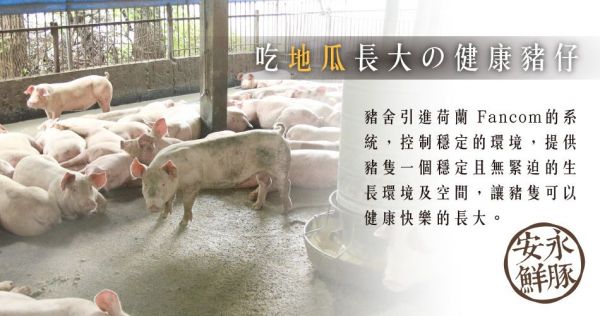 【安永鮮物 】優質鮮活水產、肉品
