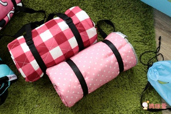 【Go Wild 野餐墊 和空氣沙發床】