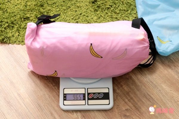 【Go Wild 野餐墊 和空氣沙發床】