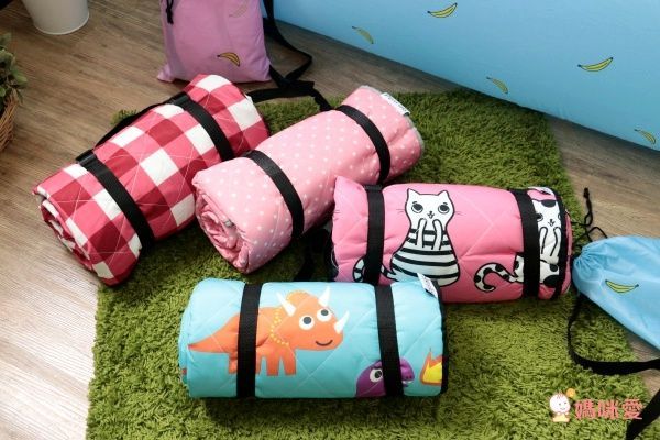 【Go Wild 野餐墊 和空氣沙發床】