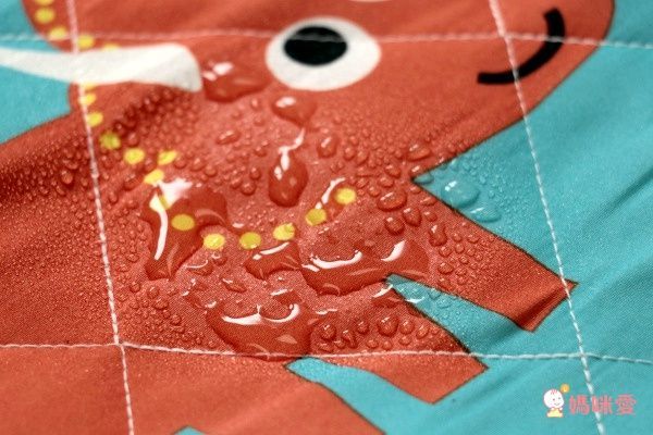 【Go Wild 野餐墊 和空氣沙發床】