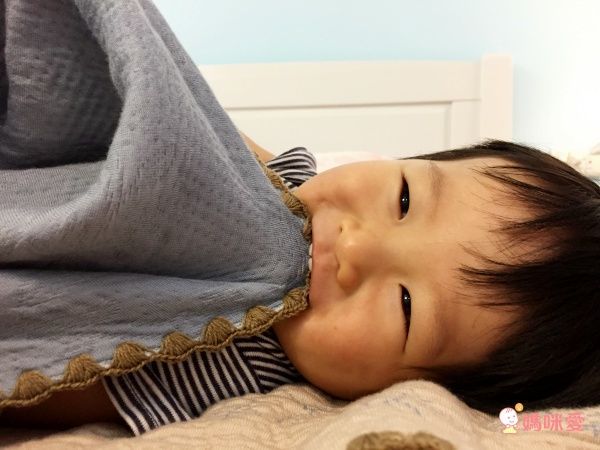 Cassy 美國棉 高織數精梳棉寢具!萬元專櫃寢具的質感