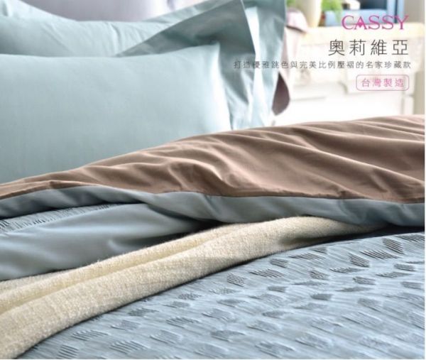 Cassy 美國棉 高織數精梳棉寢具!萬元專櫃寢具的質感