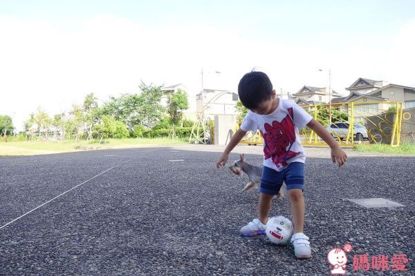 Besson JouJou LED 發光星星鞋2代/親子鞋