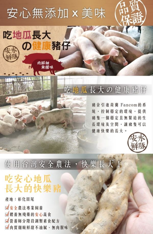 【安永鮮物】寶寶豬肉鬆 / 純魚鬆－新鮮後腿肉，絕無添加豆粉！