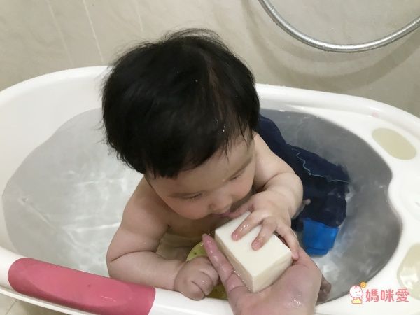 法國 Alepia 法國原裝手工鮮山羊奶橄欖皂