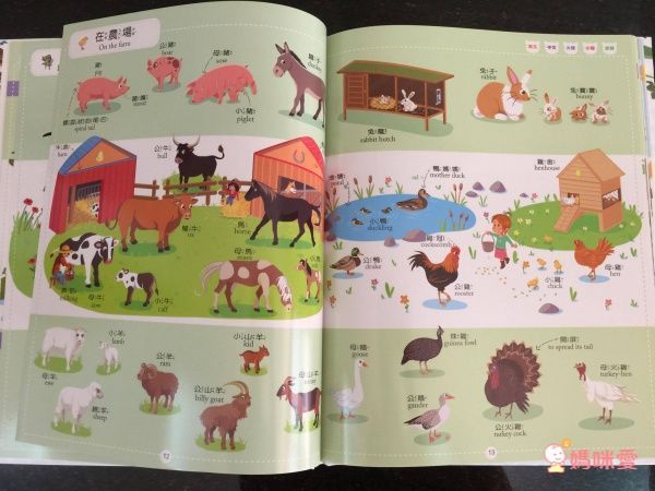 會說話的中英點讀繪本