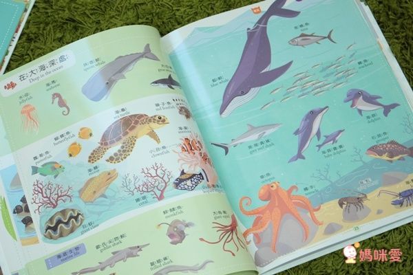 會說話的中英點讀繪本