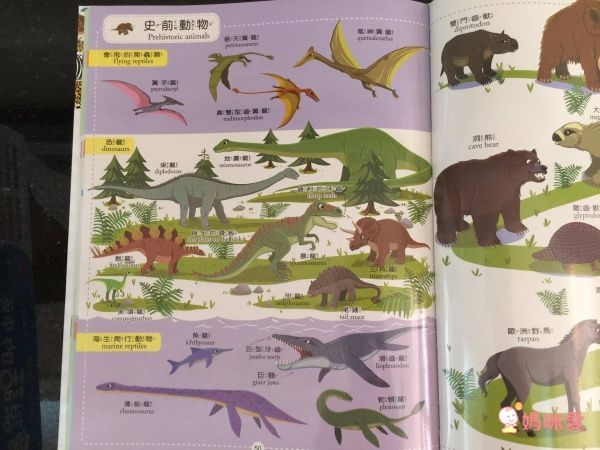 會說話的中英點讀繪本