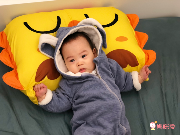 韓國製【MYHOUSE】防蟎抗敏枕頭