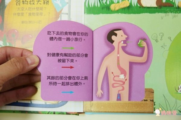 翻翻書大集合!【禾流文創 ✖ 閣林文創】