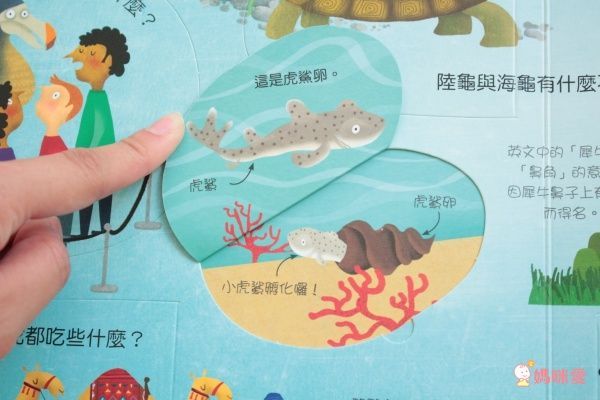 翻翻書大集合!【禾流文創 ✖ 閣林文創】