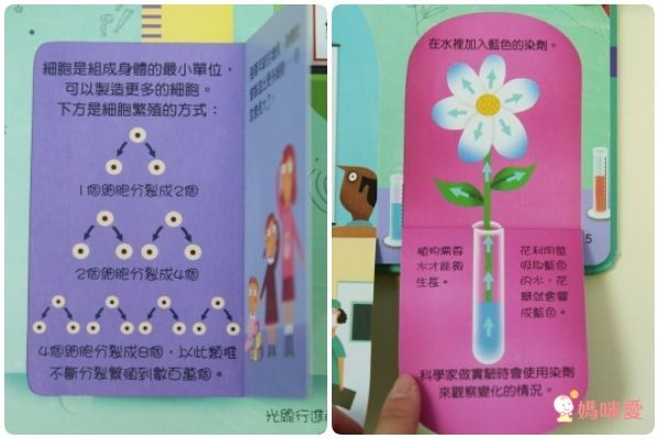 翻翻書大集合!【禾流文創 ✖ 閣林文創】