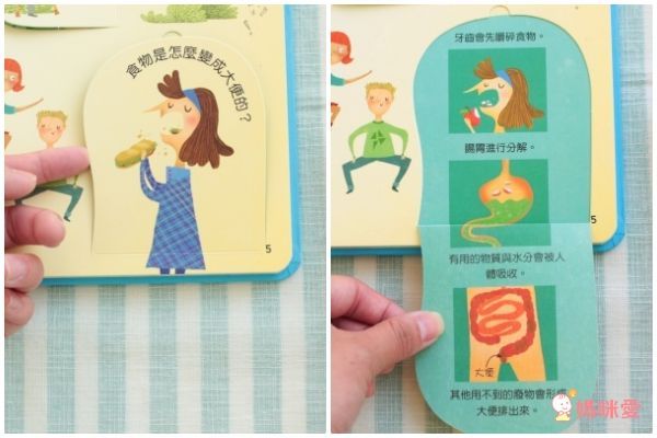 翻翻書大集合!【禾流文創 ✖ 閣林文創】