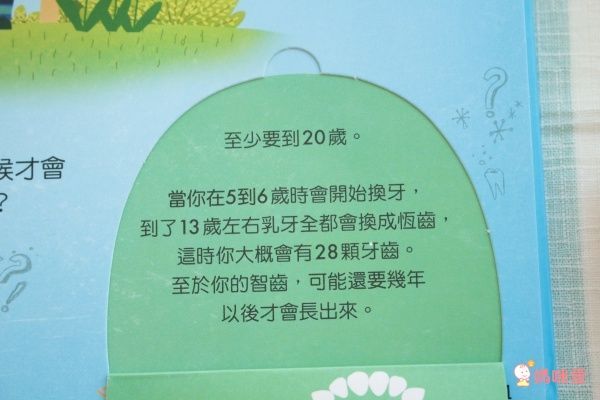 翻翻書大集合!【禾流文創 ✖ 閣林文創】