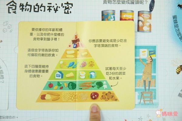 翻翻書大集合!【禾流文創 ✖ 閣林文創】