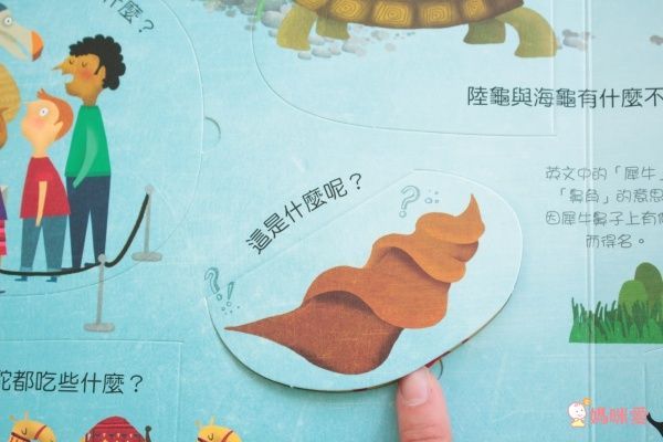 翻翻書大集合!【禾流文創 ✖ 閣林文創】