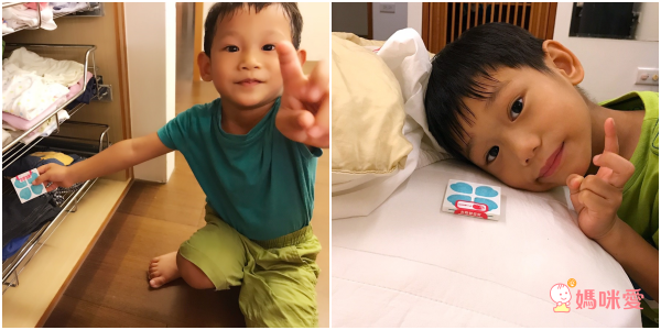 日本 沒螨家 - 塵螨誘引去除劑-6入/盒*5