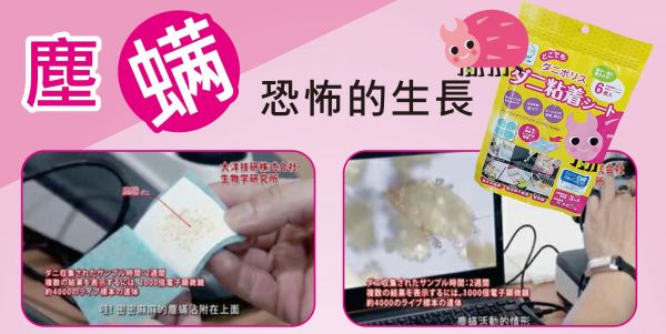 日本 沒螨家 - 塵螨誘引去除劑-6入/盒*5